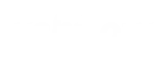 Company logo-4